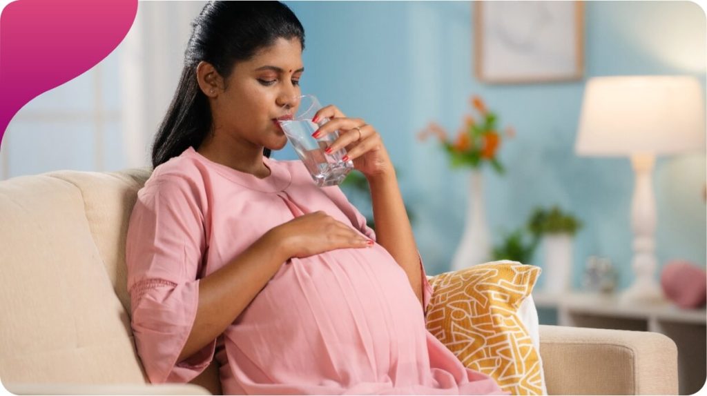 Prohance Mom Buy Protein Powder for Pregnant Women in Chocolate Flavor